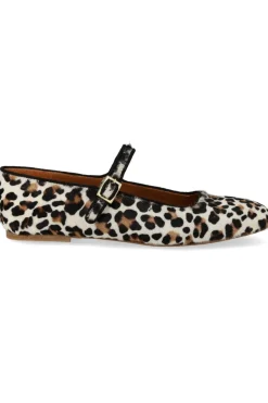 Discount Angulus 1704-101 Leopard/Black