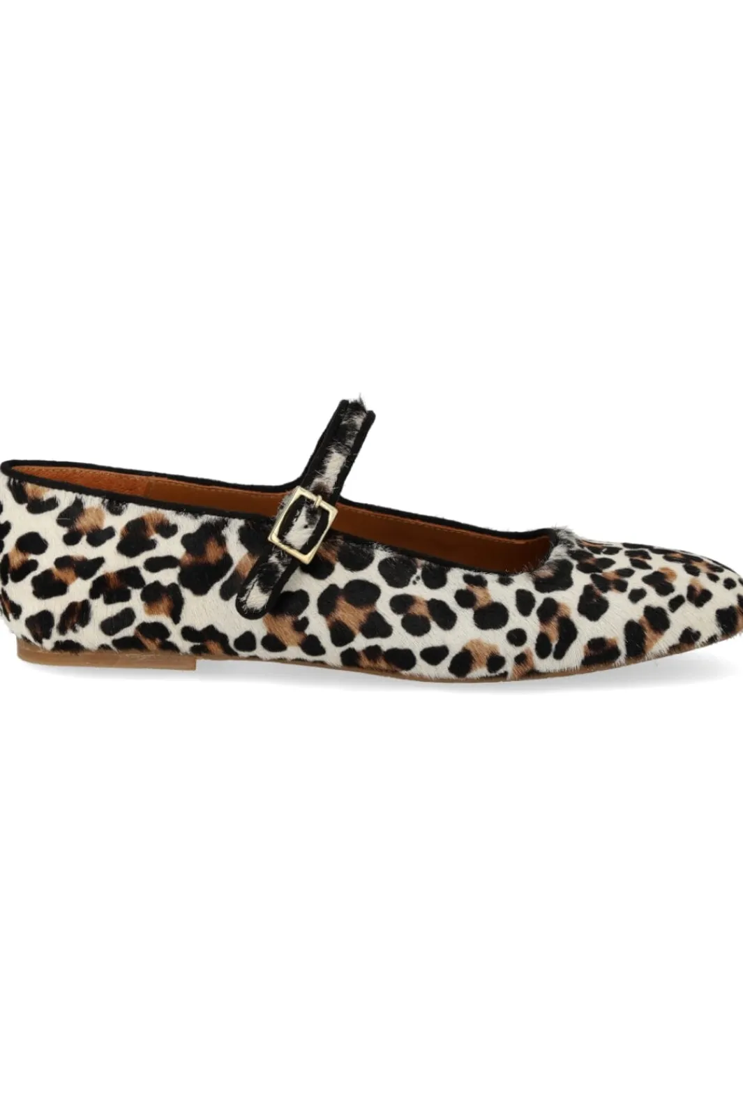 Discount Angulus 1704-101 Leopard/Black