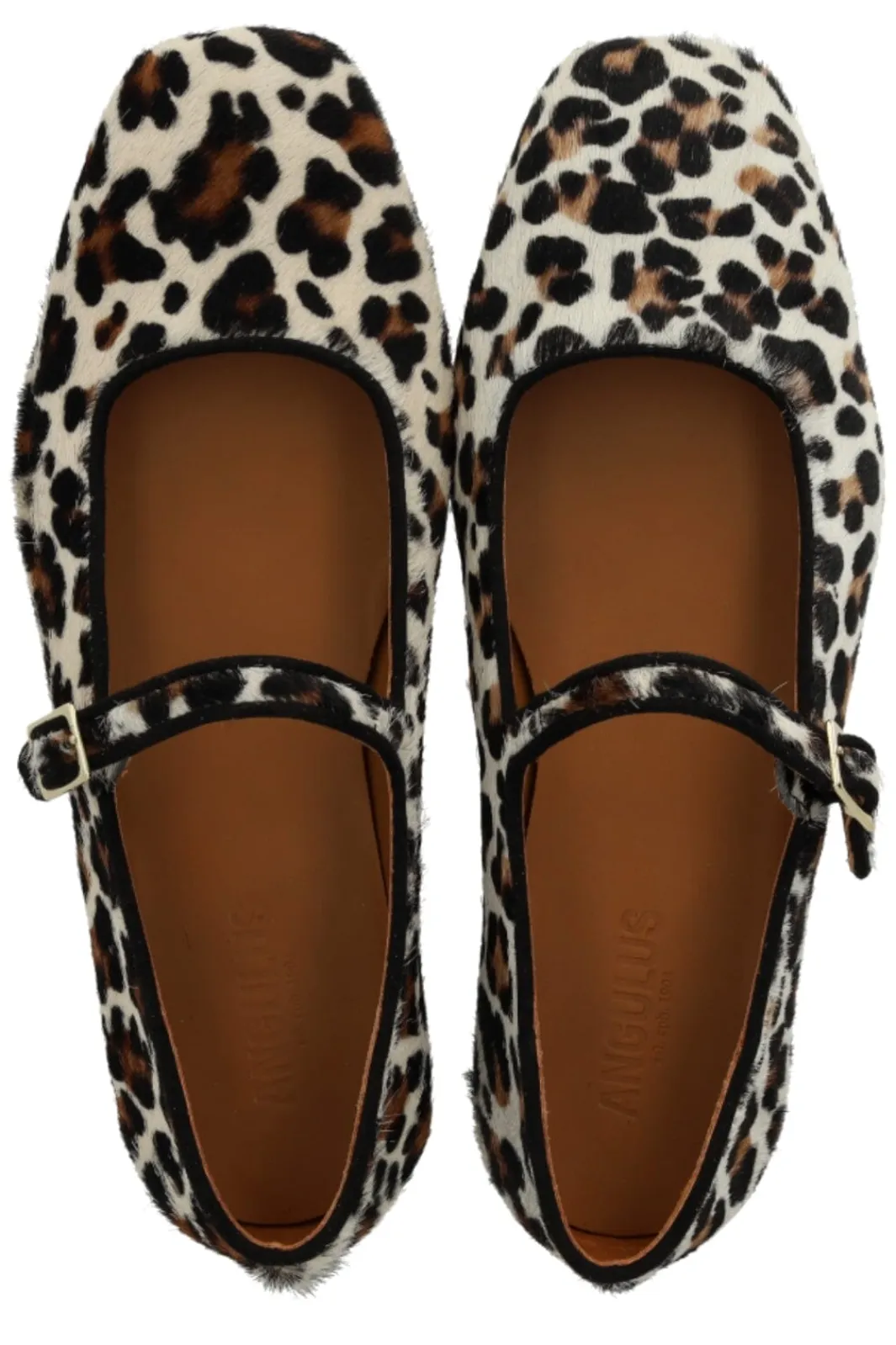 Discount Angulus 1704-101 Leopard/Black