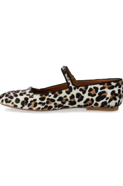 Discount Angulus 1704-101 Leopard/Black