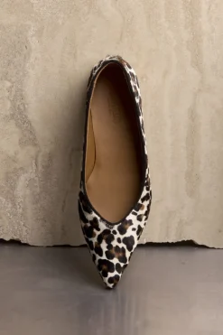 Hot Angulus 1711-101 1711-101 Leopard/black
