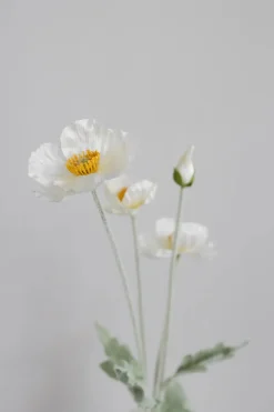 Online Bloom Objects Artificial Poppy 02-132 Cream