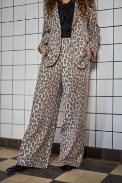 Best Black Colour Bcalice Pant 41036 Leo