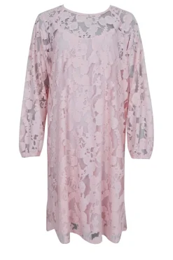 Sale Black Colour Bcdream Lace Dress 40857 Lt. Rose