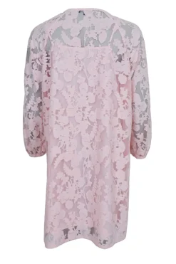 Sale Black Colour Bcdream Lace Dress 40857 Lt. Rose