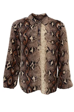 New Black Colour Bcluna Blouse With Collar Python