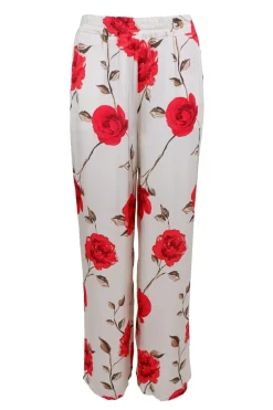 Discount Black Colour Bctiily Rose Pant 40963 Red