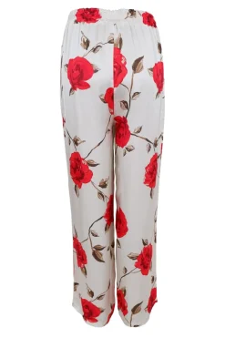 Discount Black Colour Bctiily Rose Pant 40963 Red