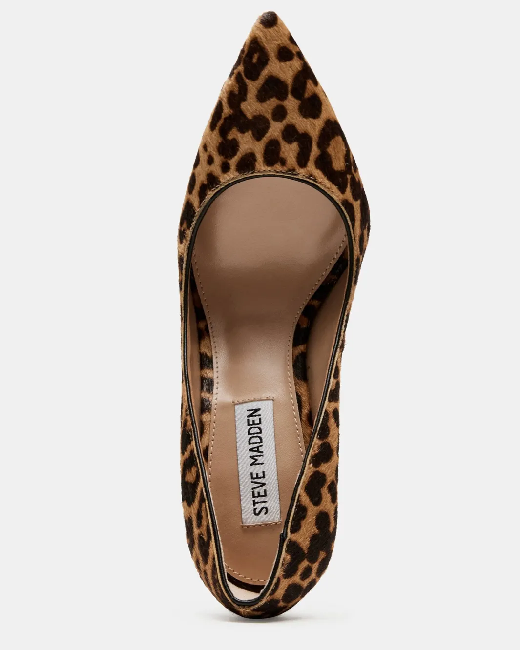 Best Steve Madden Evelyn-A Pump Leopard