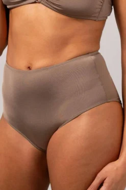 Clearance Understatement Underwear Highwaist Bikini Briefs Mauve