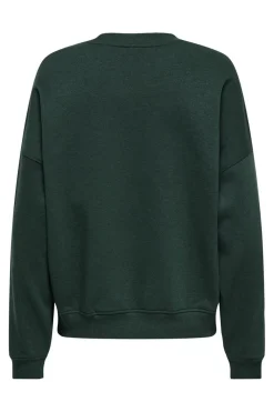 Discount JDY mesa L/S O-Neck Emb Sweat 4974491 Pine Grove Champs Emb