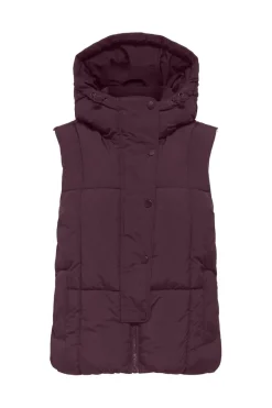 Hot JDY wonder Short Hood Waistcoat Sij 4868314 Fig