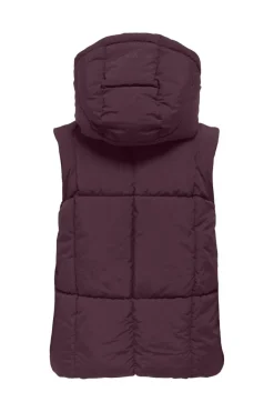 Hot JDY wonder Short Hood Waistcoat Sij 4868314 Fig