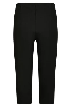 Online Neo Noir Jenings Capri Pants 163983 100