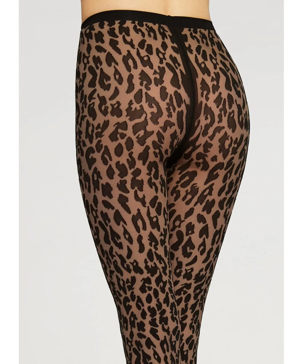 Outlet Wolford Leo Tights14901 9180 Black/black