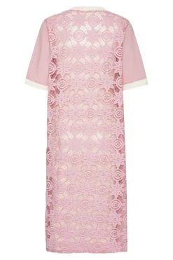 Discount Continue Nni Lace Dress 14792 Rose