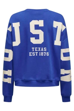 Outlet Only Onlsweat L/S Back/Sleeve Print Swt 4845924 Surf The Web Birch Houston Print