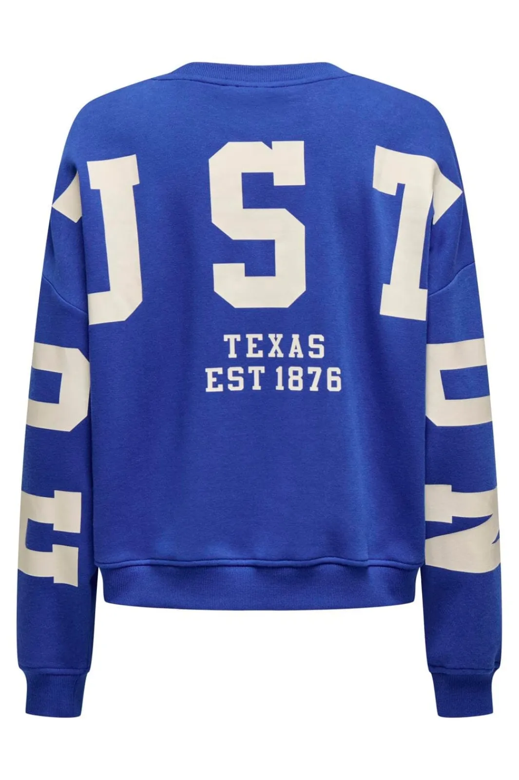 Outlet Only Onlsweat L/S Back/Sleeve Print Swt 4845924 Surf The Web Birch Houston Print