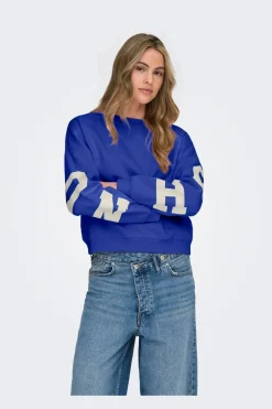 Outlet Only Onlsweat L/S Back/Sleeve Print Swt 4845924 Surf The Web Birch Houston Print