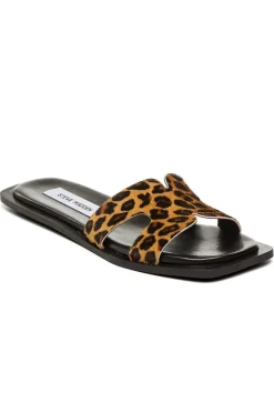 Discount Steve Madden Sofia-L SM11003524 LEOPARD LEATHER 969