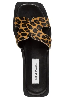 Discount Steve Madden Sofia-L SM11003524 LEOPARD LEATHER 969