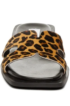 Discount Steve Madden Sofia-L SM11003524 LEOPARD LEATHER 969