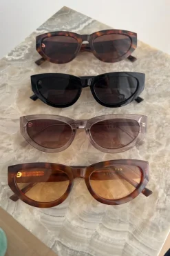 New Valentin Studio Spain sunglas Rose Brown