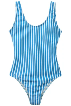 Hot H2O Stripe Swim Suit 101014 2545