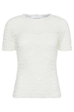 Hot Sisters Point Vassy-Ss 19037 115