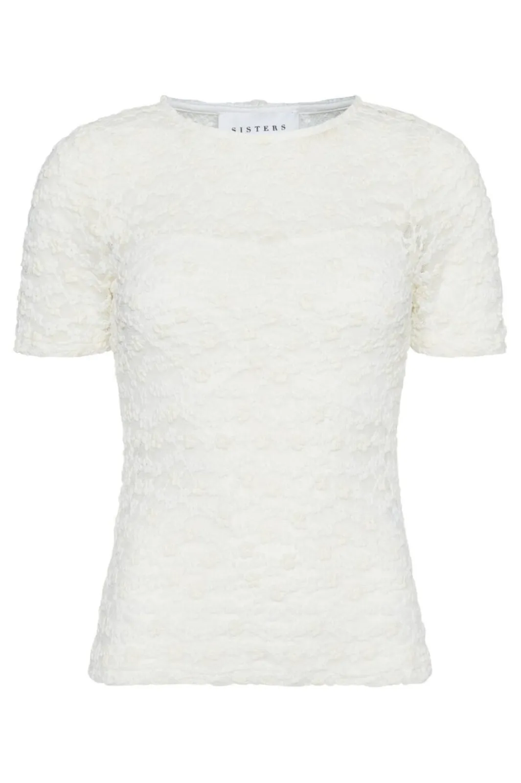 Hot Sisters Point Vassy-Ss 19037 115
