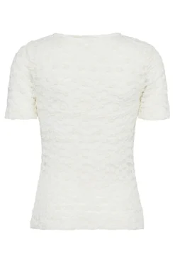 Hot Sisters Point Vassy-Ss 19037 115